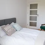 Nest Centrum Torun